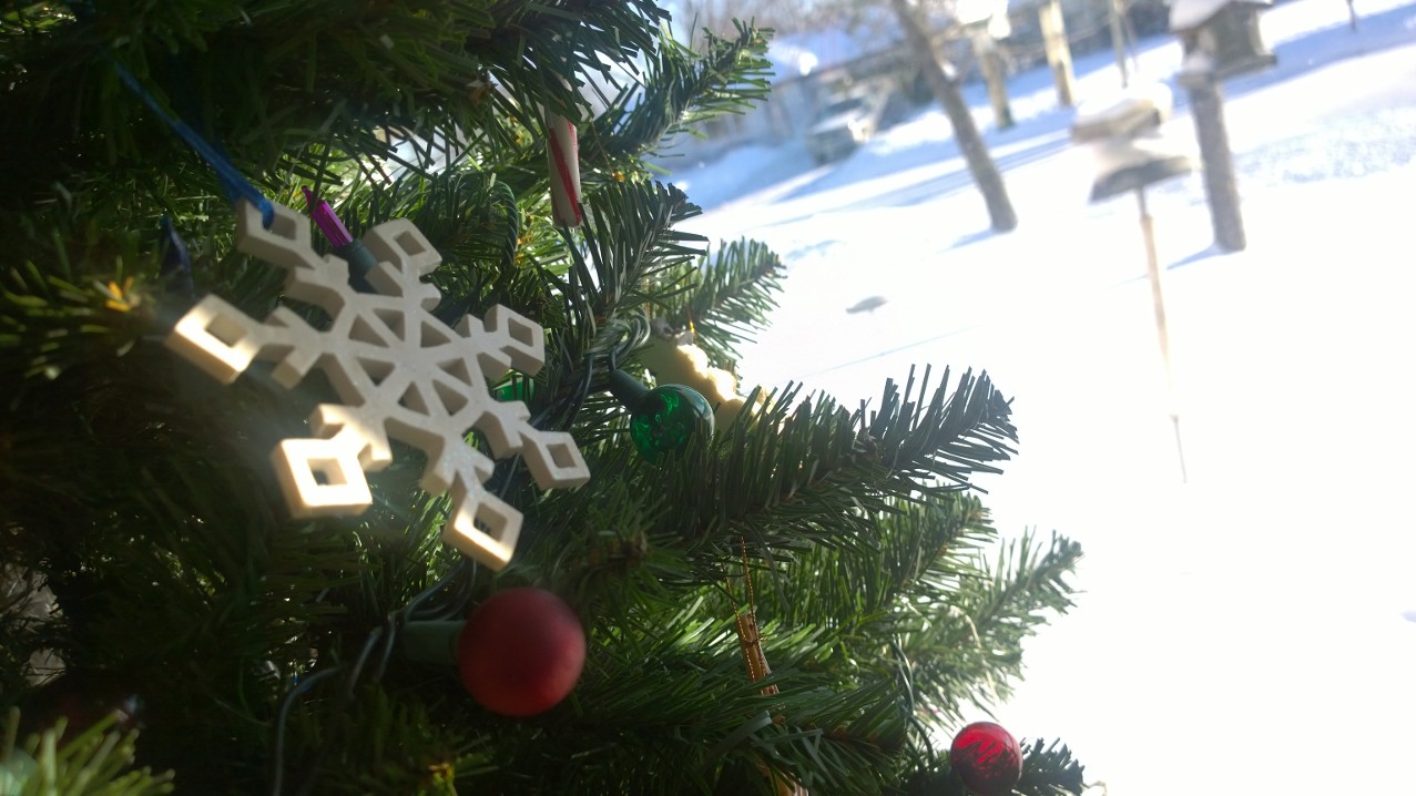 wp_20161218_09_26_38_pro