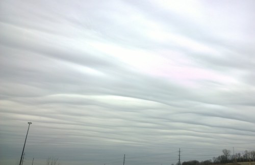 WP_20170319_14_17_20_Pro (2)