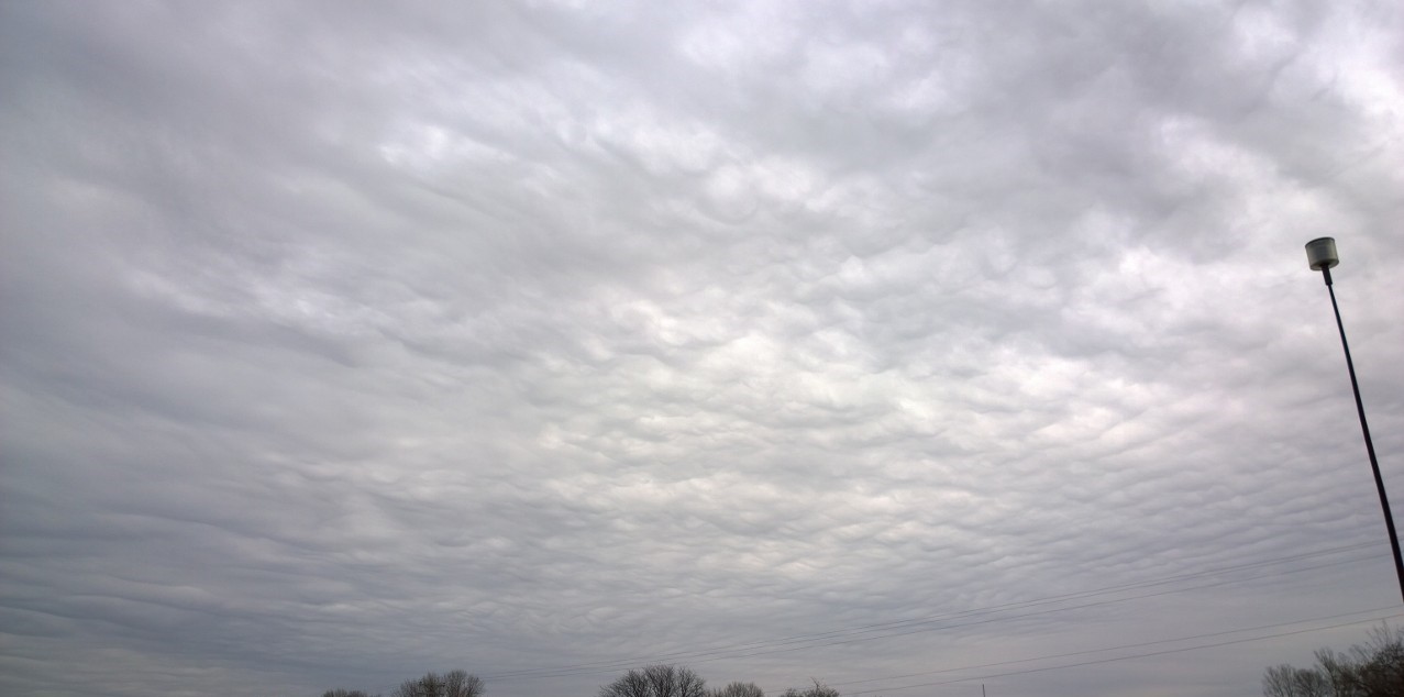 WP_20170319_14_34_44_Pro (2)