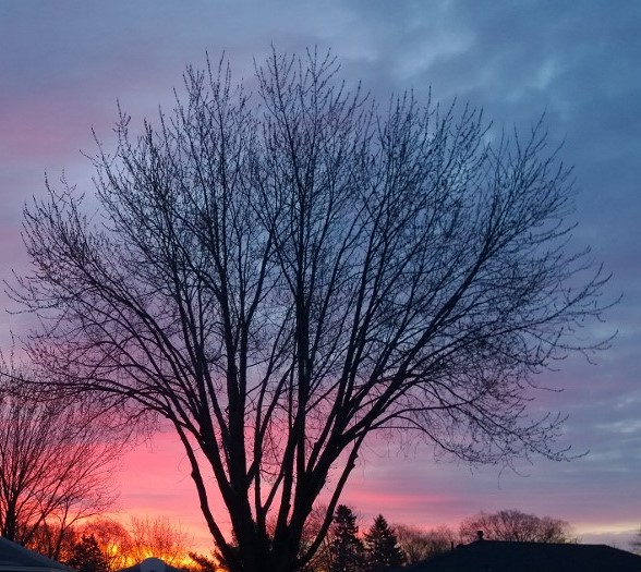 Don’t let me&nbsp;forget