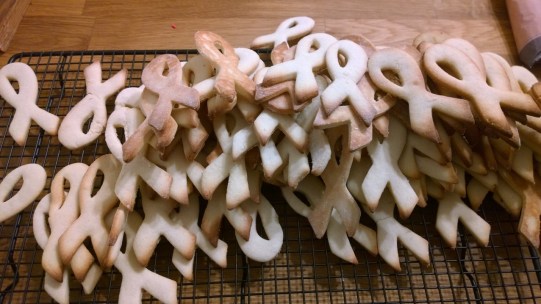 WP_20170402_19_55_43_Pro