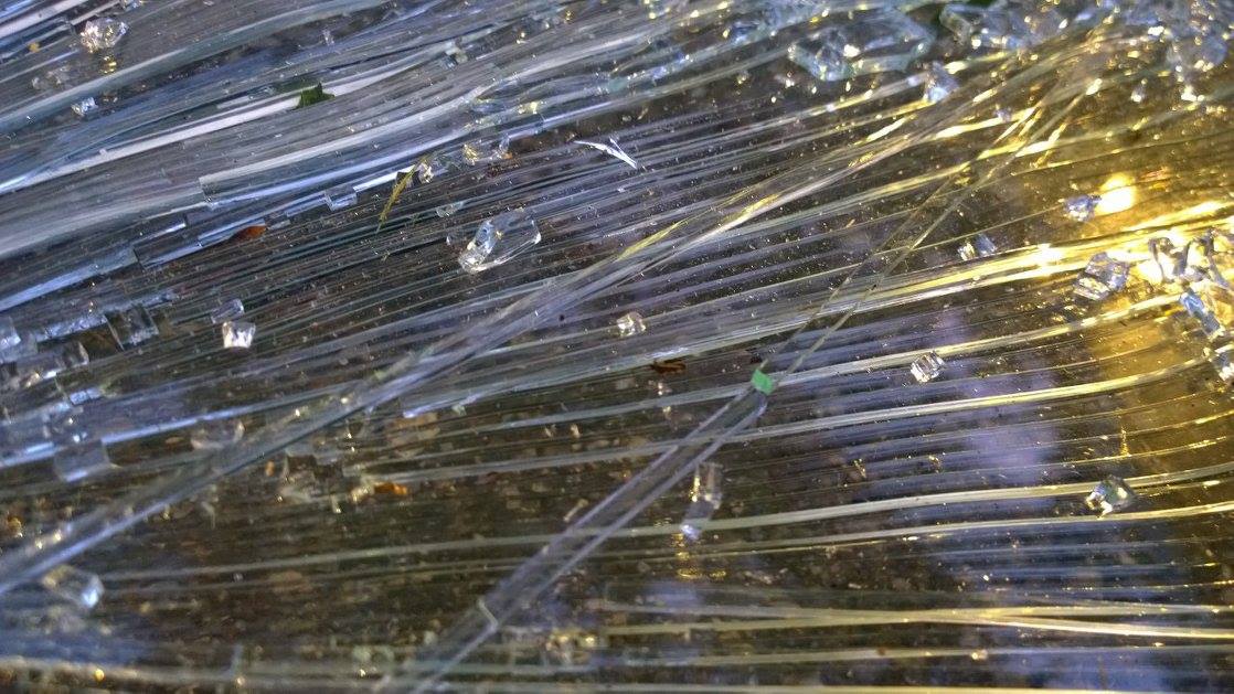 21686869_10203607091855341_2587969839233993617_o