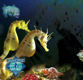 Tamar Triple Pass — Beaconsfield Mine & Heritage Centre